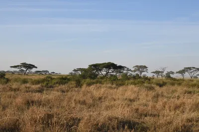 DSC_3784 (Large).JPG